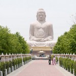 buddhist trip