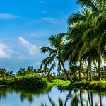 coconut tour south india