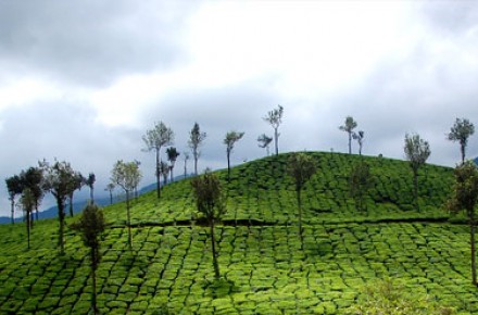 kerala