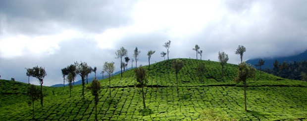 kerala