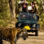 Corbett Wildlife Safari