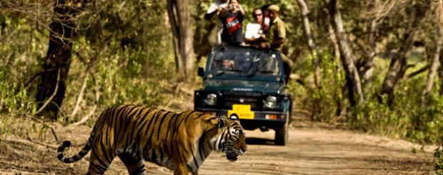 Corbett Wildlife Safari