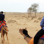 Camel Safari Tour