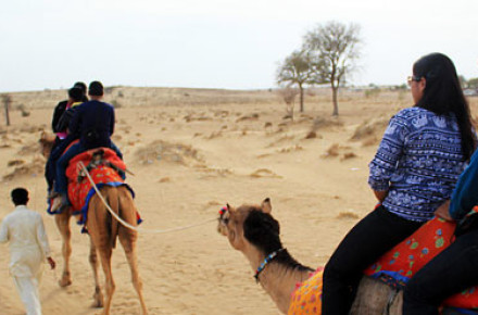 Camel Safari Tour