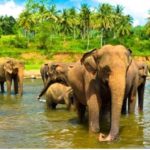 Discover Sri Lanka