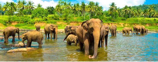 Discover Sri Lanka